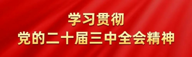 深学细悟新思想 砥砺前行谱新篇——省峡管局掀起学习贯彻党的二十届三中全会精神热潮（一）
